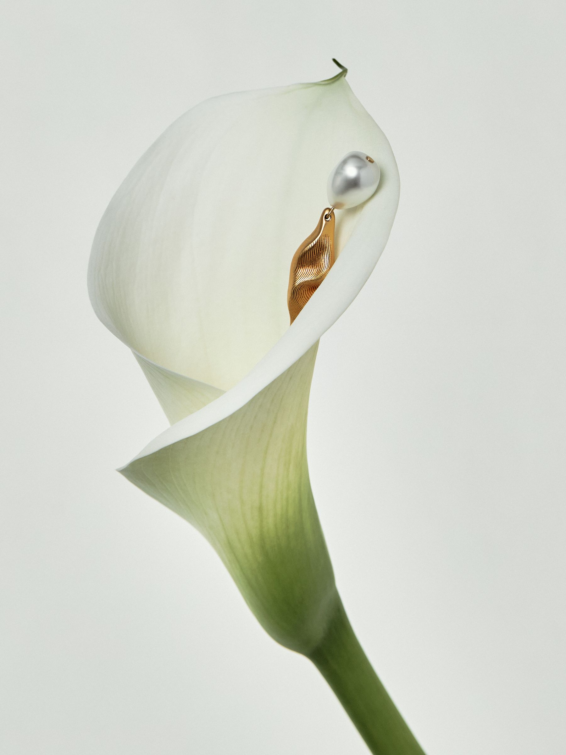 Tone Faux Pearl Molten Drop Earrings in Gold