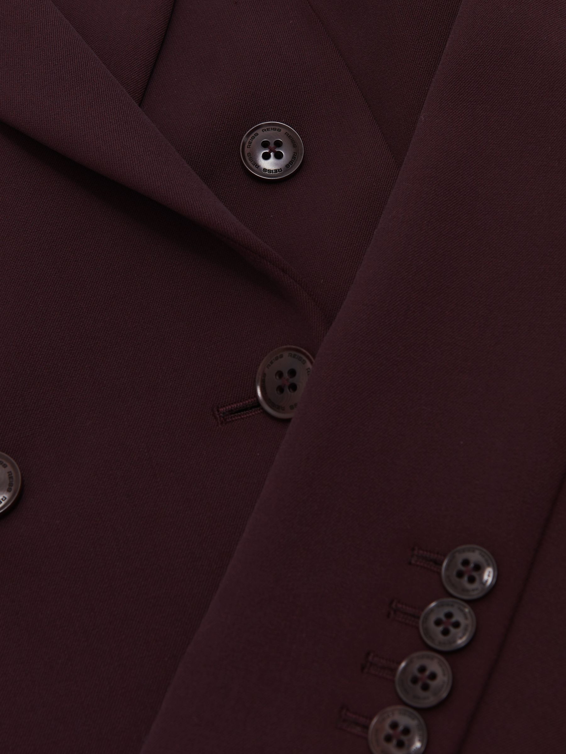 Double-Breasted Suit Blazer in Berry