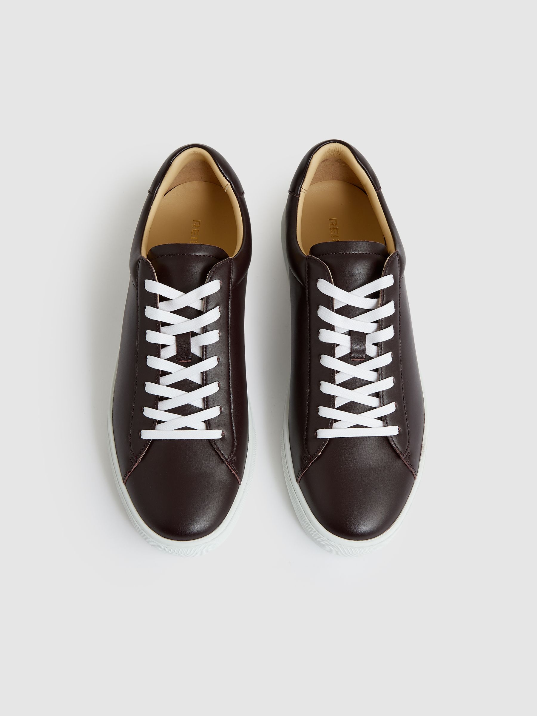 Leather Low-Top Trainers in Plum Purple