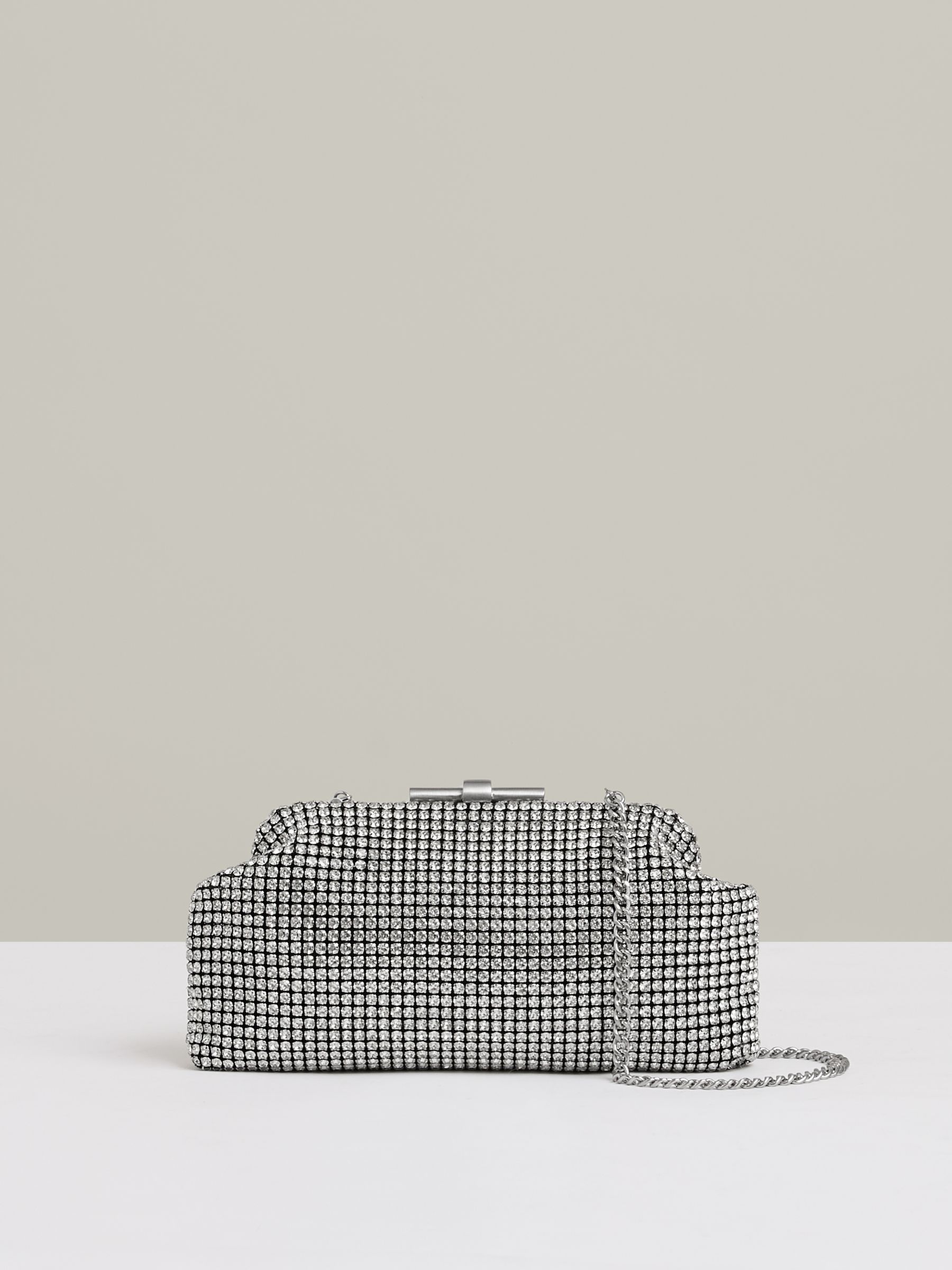 Embellished Clutch Bag in Silver