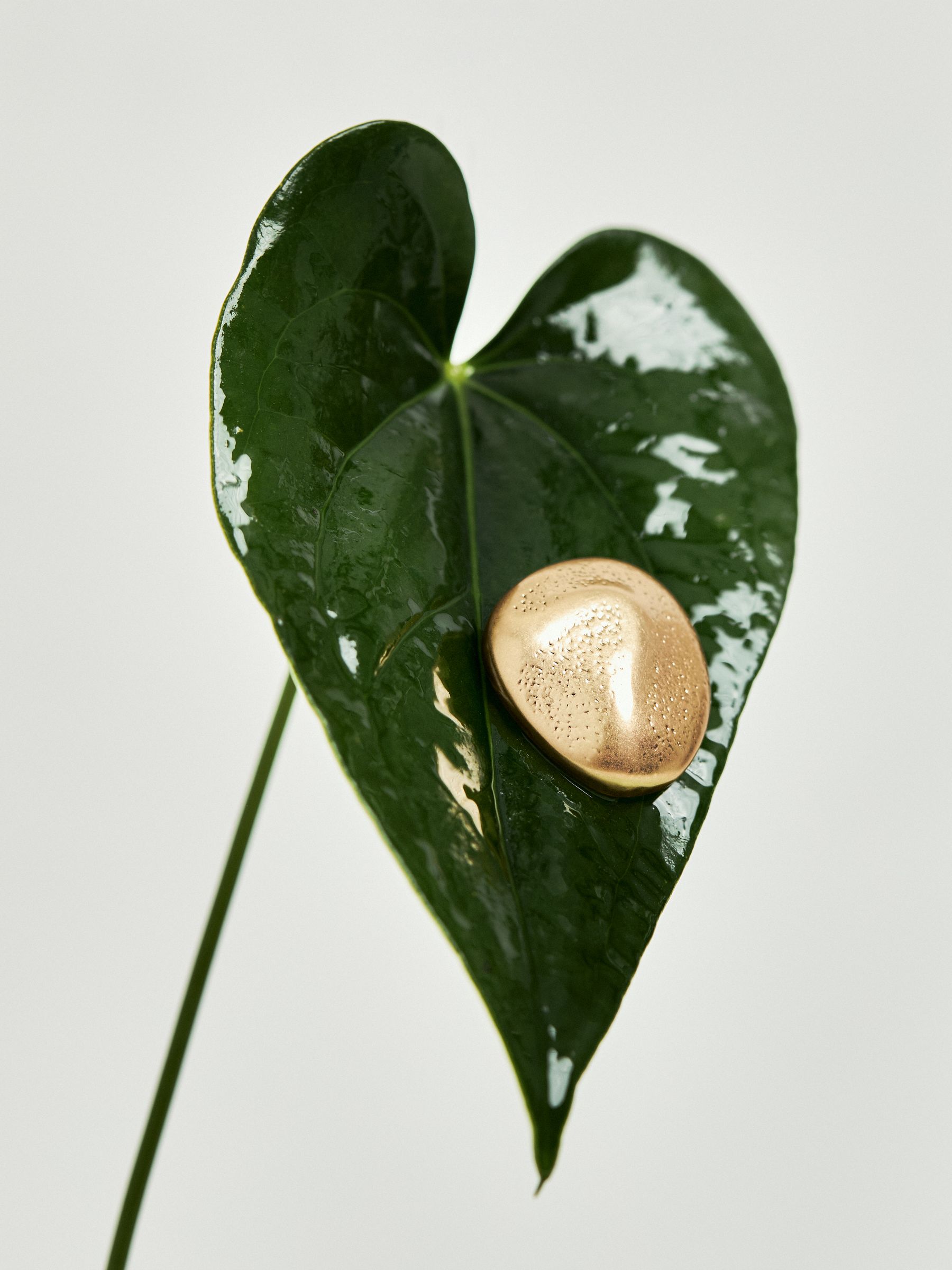 Tone Textured Pebble Earrings in Gold
