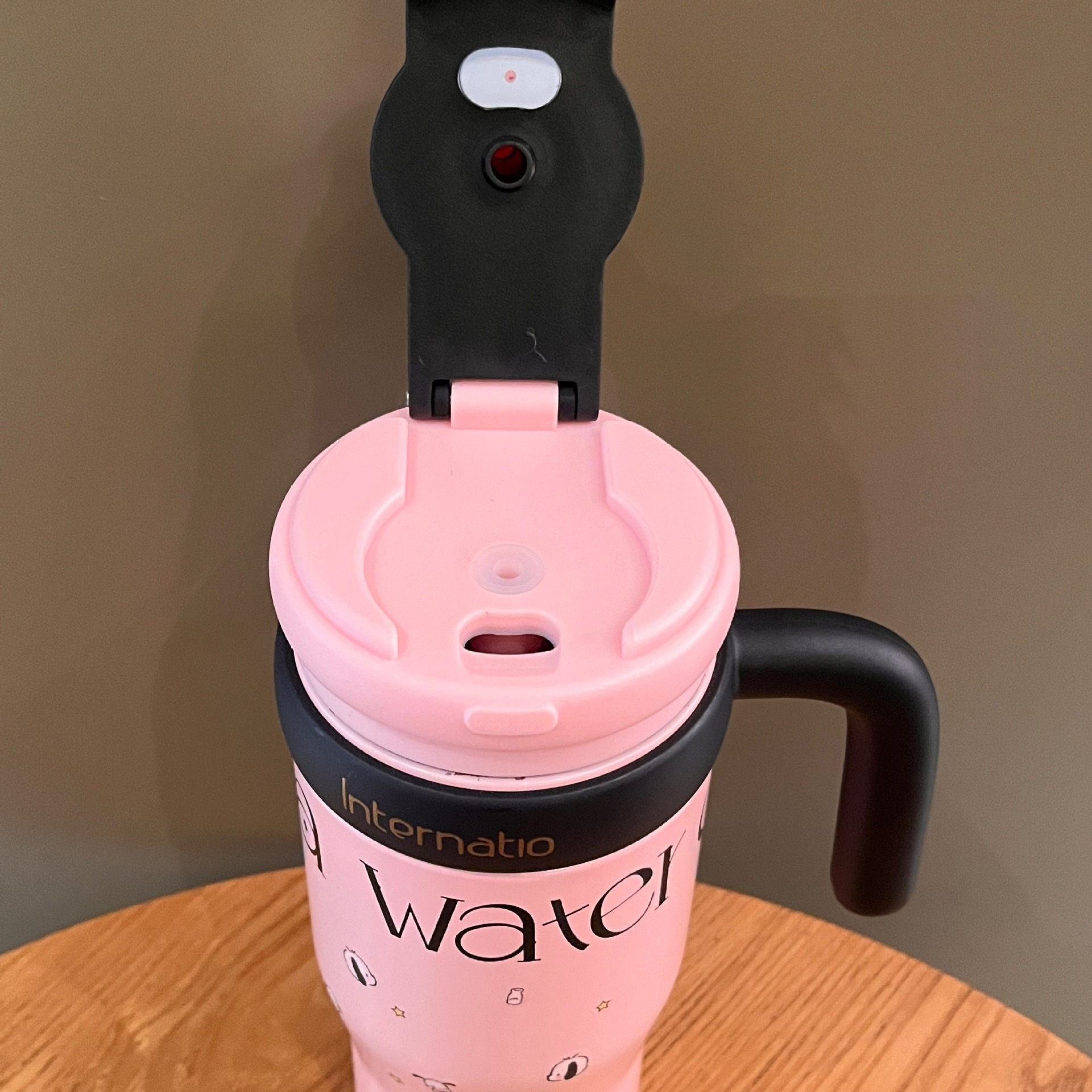 Large Capacity Straw Water Bottle