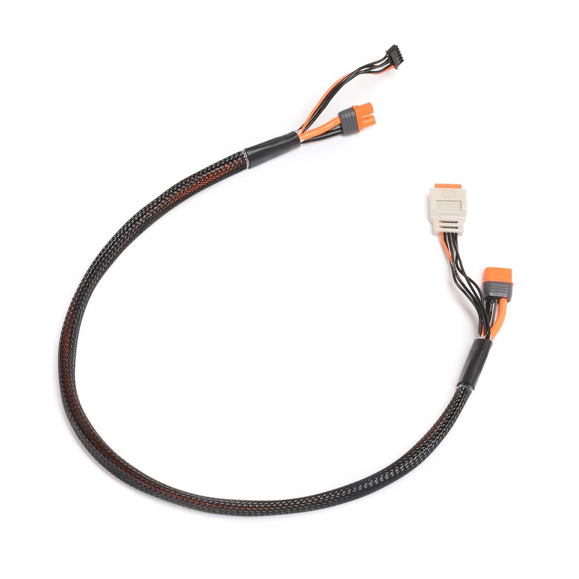 Spektrum Accessories Charge Lead with Balance Extension 24" IC3, 2-4S